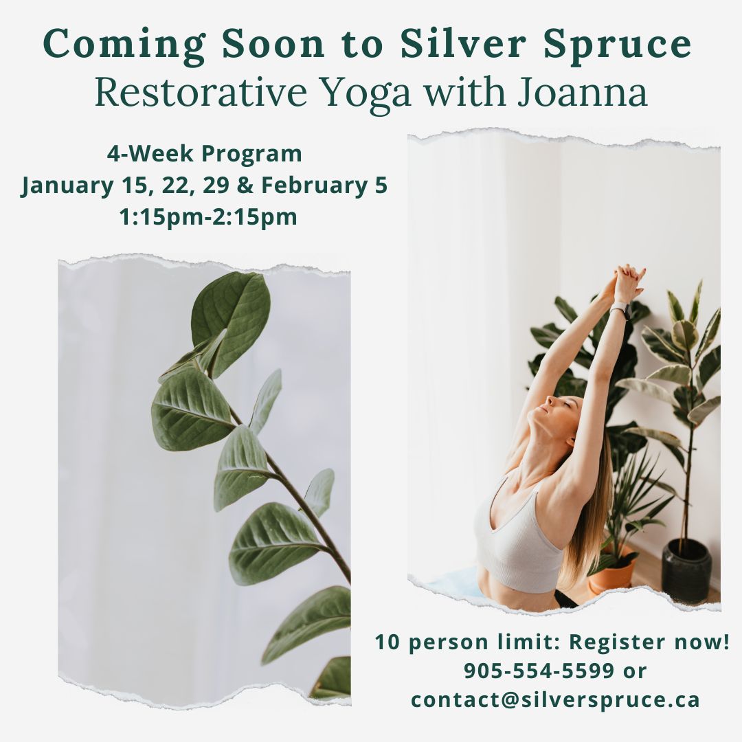 Coming Soon to Silver Spruce Restorative Yoga with Joanna. 4 week program, January 15, 22, 29 and February 5, 1:15pm to 2:15pm. 10 Person Limit.